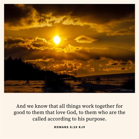 100 Bible Verses About Job Kjv Stillfaith Com