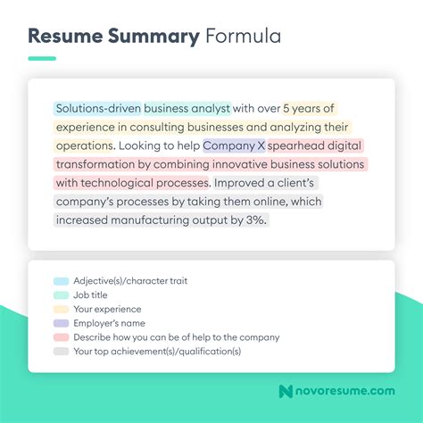 100 Resume Summary Examples 100 Resume Summary Examples