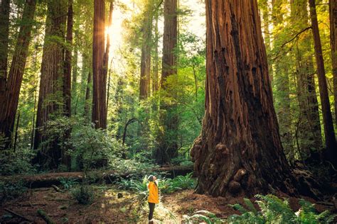 12 Best California State Parks To Visit This Year 12 Best California State Parks To Visit This Year