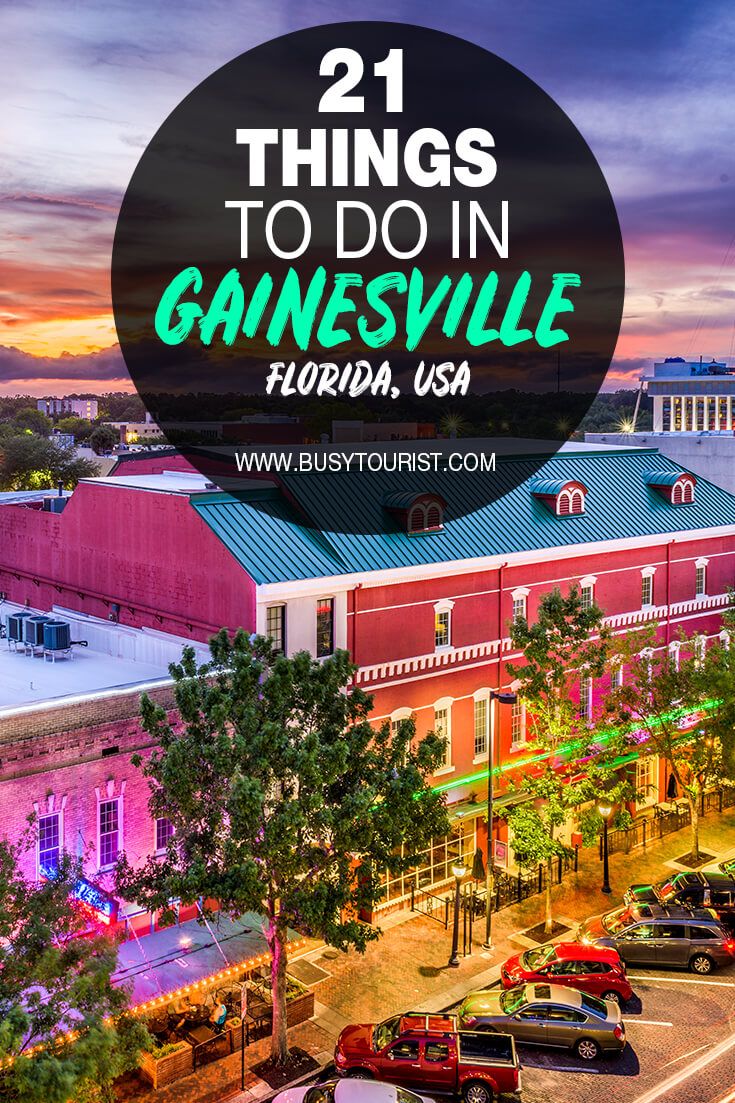 21 Fun Things To Do In Gainesville Florida Artofit 21 Fun Things To Do In Gainesville Florida Artofit