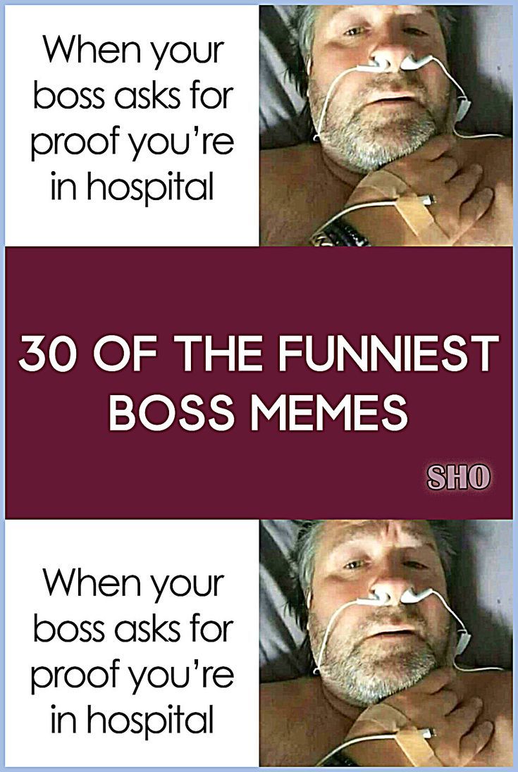 30 Funniest Boss Memes To Send To Your Co Workers And Not Only Bored Panda 30 Funniest Boss Memes To Send To Your Co Workers And Not Only Bored Panda