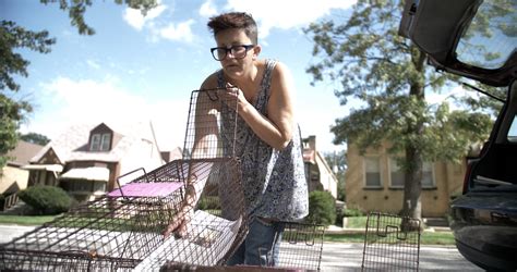 Aff 2023 A Battle Over Feral Cats In Cat City Alexandria Times