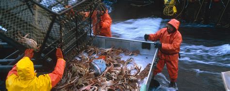 Ak Fishing Jobs