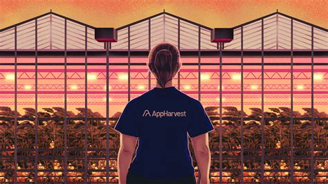 Appharvest Promised Kentucky Green Jobs It Delivered Hell On Earth Grist Appharvest Promised Kentucky Green Jobs It Delivered Hell On Earth Grist