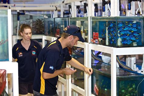 Aquarium Jobs