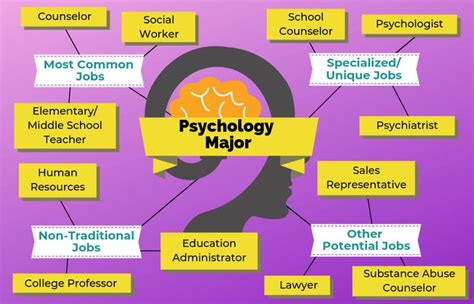 Bachelor S In Psychology Jobs Career Options Bachelor S In Psychology Jobs Career Options