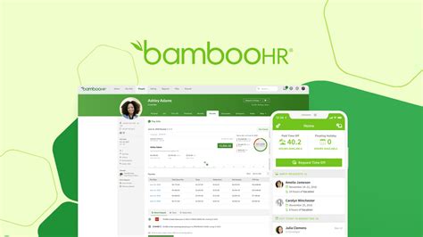 Bamboo Hr Jobs