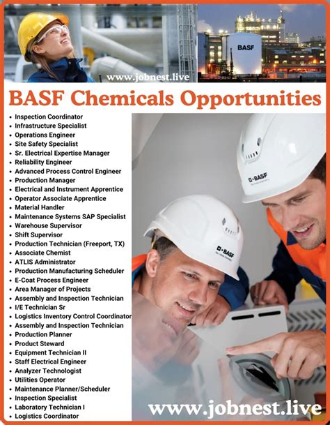 Basf Job Postings