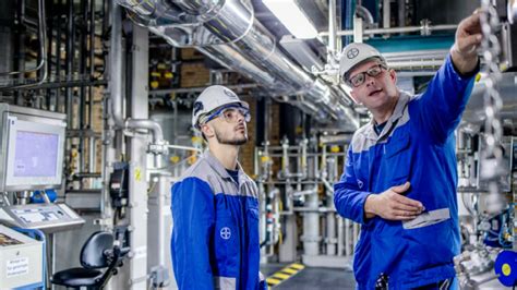 Bayer Jobs
