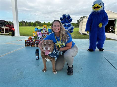 Beloved School Therapy Dog Odd Jobs Retires After Years Of Dedicated Beloved School Therapy Dog Odd Jobs Retires After Years Of Dedicated