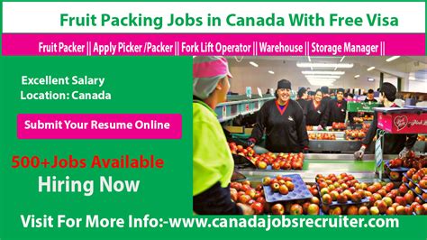 Best Coca Cola Driver Merchandiser 2023 Canada Jobs Recruiter