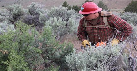 Blm Jobs May Be Coming West But Which Ones