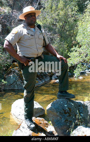 California Park Ranger In Henry Coe State Park Northern California Usa California Park Ranger In Henry Coe State Park Northern California Usa