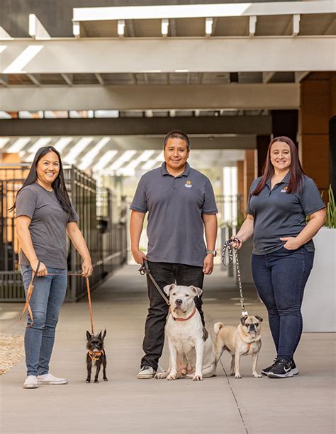 Careers Arizona Humane Society