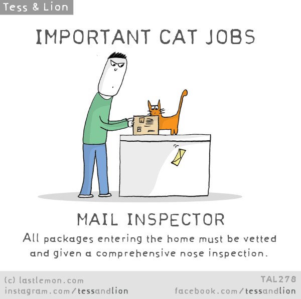 Cat Jobs