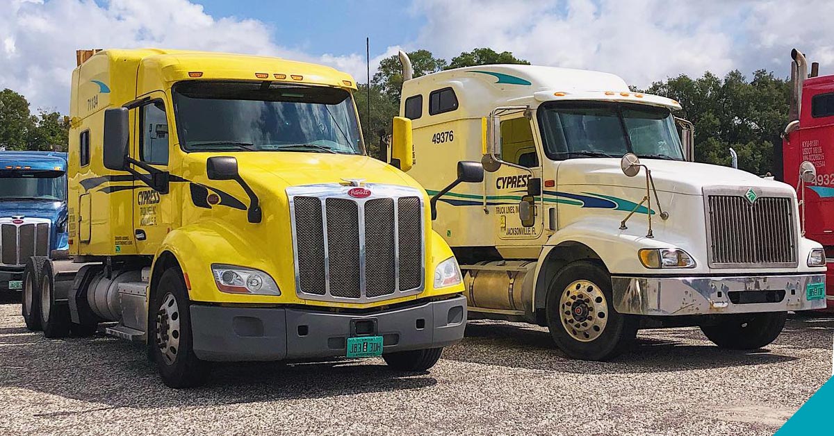 Costco Cdl Jobs