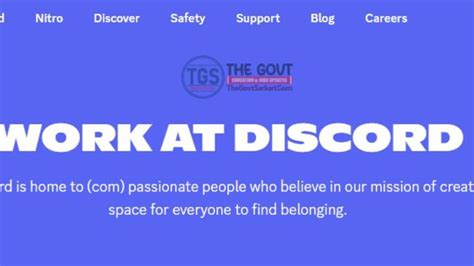 Discord Moderator Job