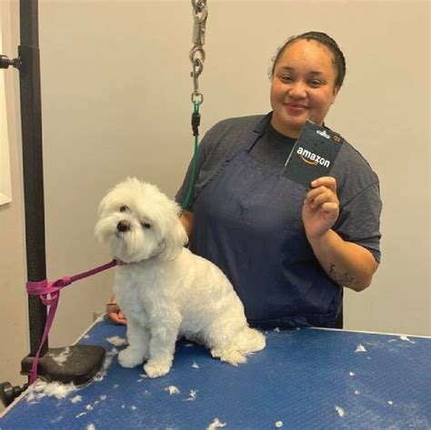 Dog Bather Jobs Near Me