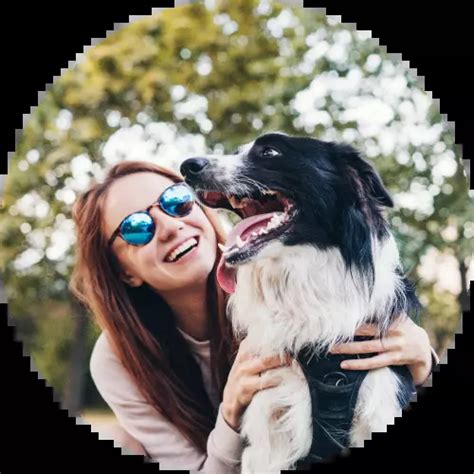 Find Issaquah Wa Pet Sitting Jobs Free Sittercity Com Find Issaquah Wa Pet Sitting Jobs Free Sittercity Com