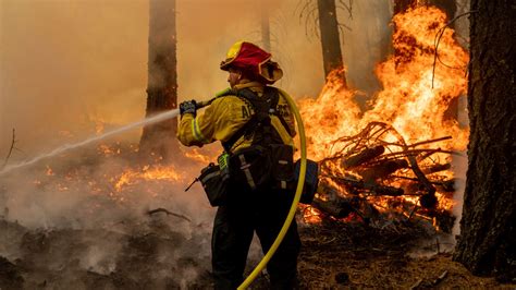 Forest Fire Fighting Jobs
