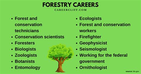 Forestry Jobs Forestry Jobs