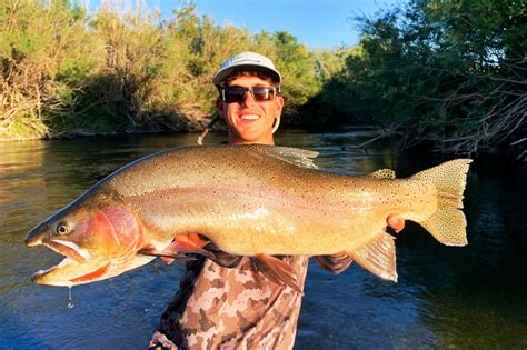 Here Are Five Big Fish Stories Of 2020 About The Ones That Didn T Get