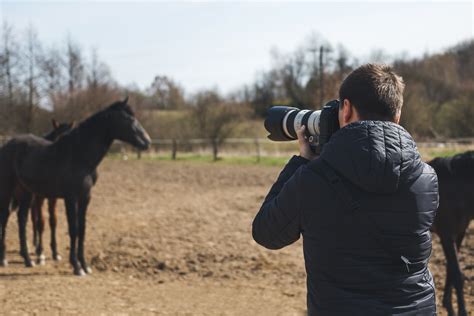 Horse Equine Jobs
