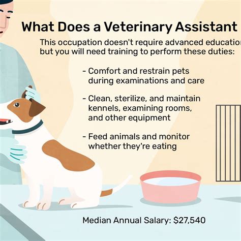 How To Become Veterinary Assistant Phaseisland17 How To Become Veterinary Assistant Phaseisland17