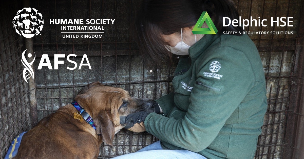 Humane Society International Jobs