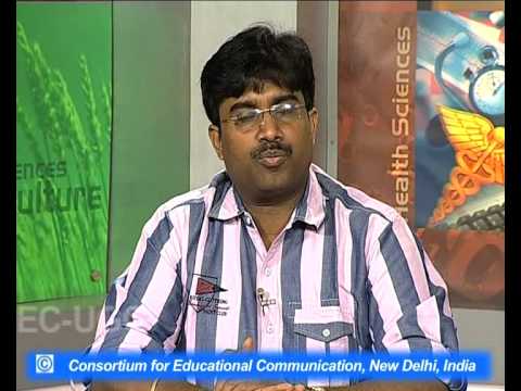 Interesting Jobs In Museums Museology After 12 Youtube Interesting Jobs In Museums Museology After 12 Youtube