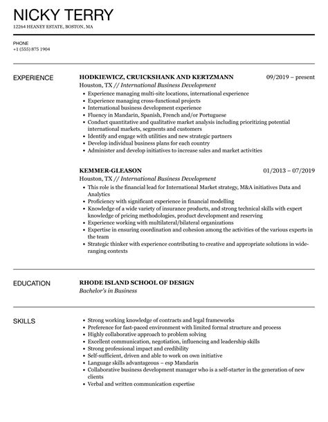 International Business Development Resume Sample Resume Example Gallery International Business Development Resume Sample Resume Example Gallery