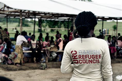 International Refugee Committee Jobs