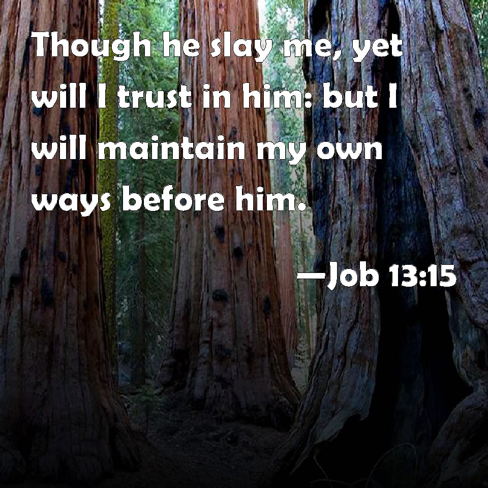 Job 13:15
