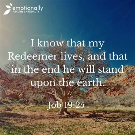 Job Bible Quotes