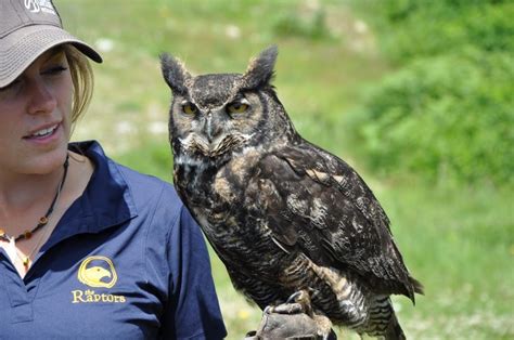 Job Opportunities For Wildlife Biologists