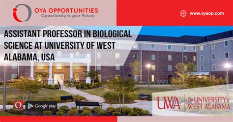 Jobs At University Of Alabama In Usa Oya Opportunities Oya Jobs At University Of Alabama In Usa Oya Opportunities Oya