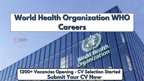 Jobs At World Health Organization