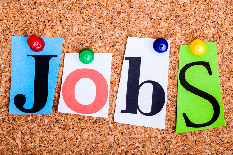 Jobs Board Prescott Community Cupboard Food Bank Jobs Board Prescott Community Cupboard Food Bank