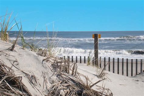 Jobs In Ocean City Md