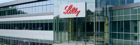 Lilly Jobs