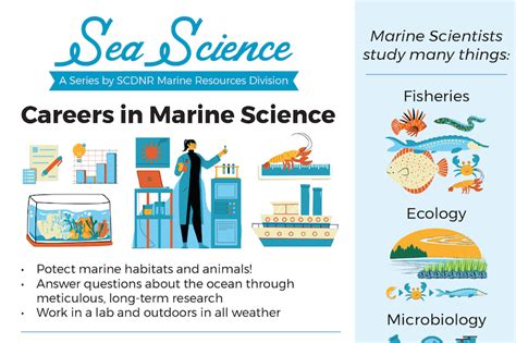 Marine Science Jobs Marine Science Jobs