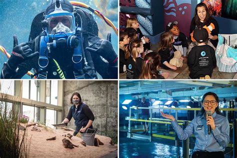 Monterey Bay Aquarium Jobs