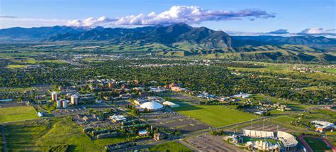 Msu Bozeman Jobs