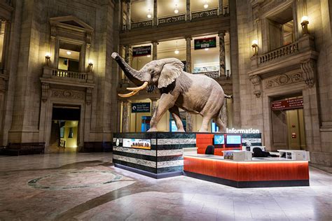 Museum Jobs Washington Dc