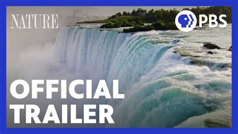Niagara Falls About Nature Pbs Niagara Falls About Nature Pbs