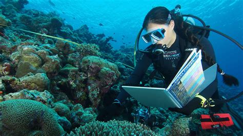Oceanography Jobs