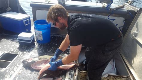 On Site Fish Processing Sitka Alaska Fishing Lodge On Site Fish Processing Sitka Alaska Fishing Lodge