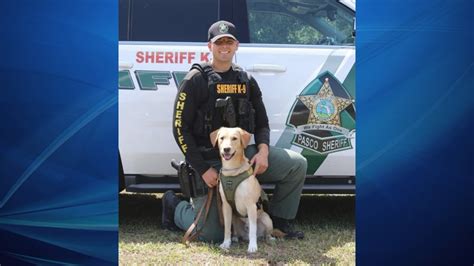 Pasco County Sheriff S Office Welcomes New K9 Team Wfla Pasco County Sheriff S Office Welcomes New K9 Team Wfla