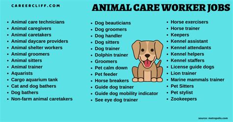 Pet Care Jobs