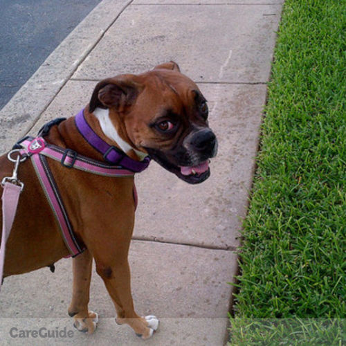 Pet Jobs